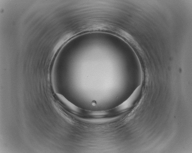 X0000071851234200606301329