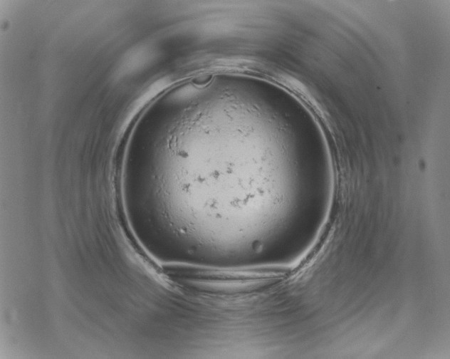 X0000071851235200606301329