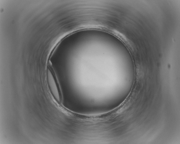 X0000071851236200606301329