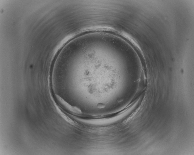 X0000071851237200606301329