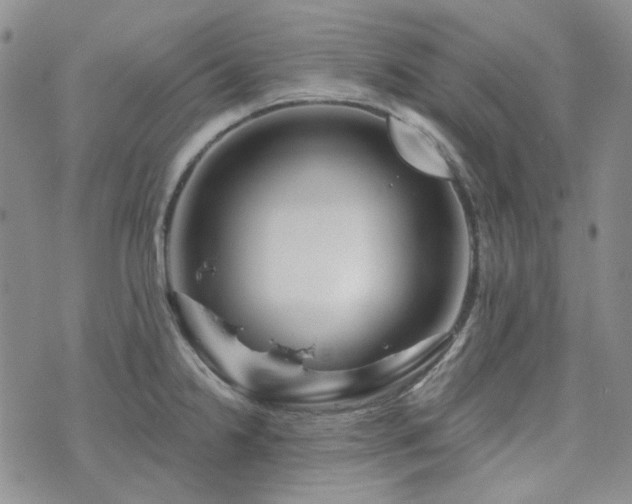 X0000071851238200606301329