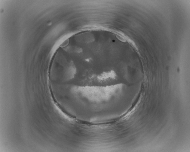 X0000071851239200606301329