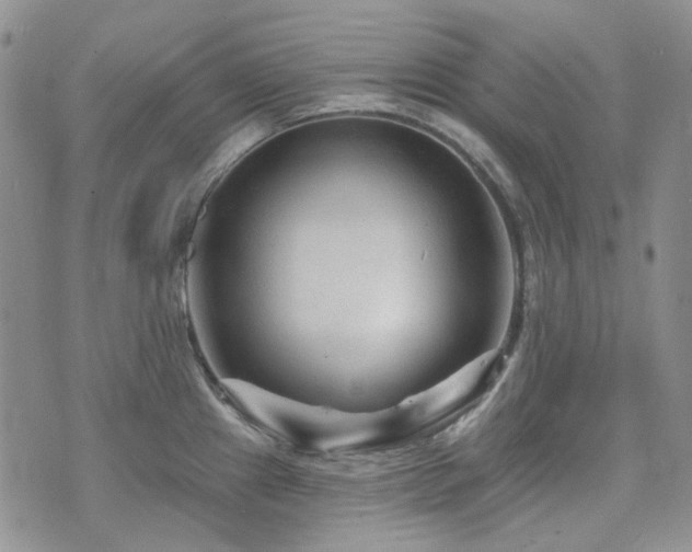 X0000071851241200606301329