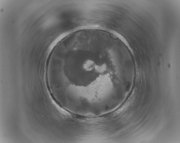 X0000071851245200606301329