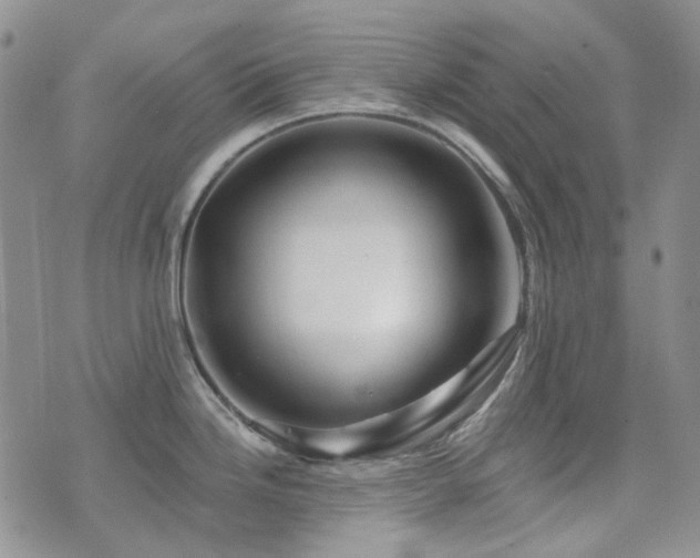 X0000071851246200606301329