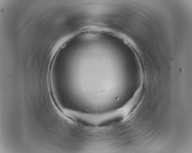 X0000071851247200606301329