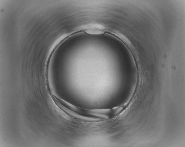 X0000071851248200606301329