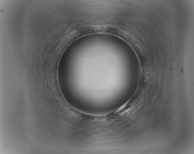 X0000071851249200606301329