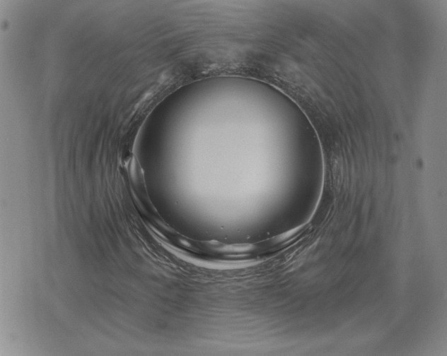 X0000071851250200606301329