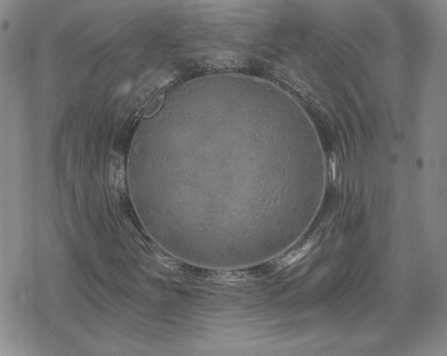 X0000071851251200606301328