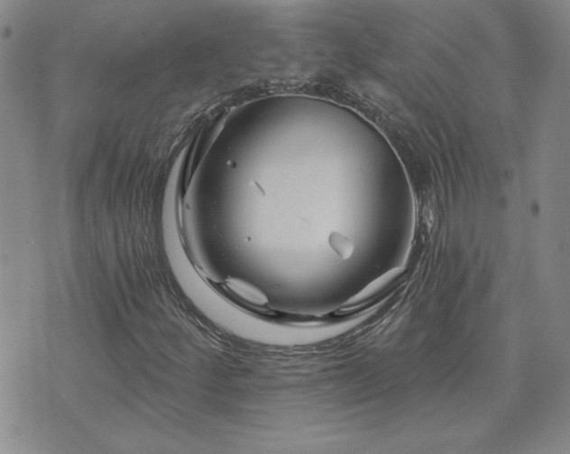 X0000071851252200606301328