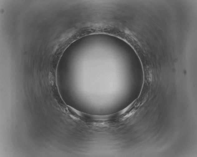 X0000071851253200606301328