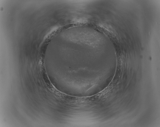 X0000071851254200606301328