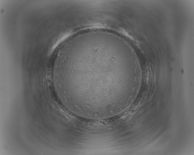 X0000071851255200606301328