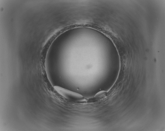 X0000071851256200606301328