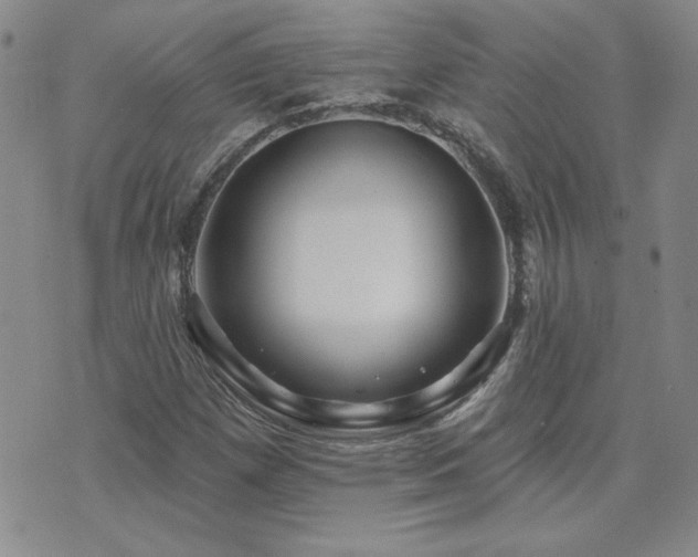 X0000071851257200606301328