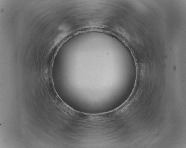 X0000071851258200606301328