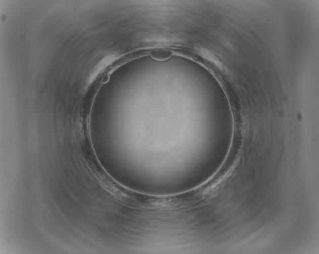 X0000071851259200606301328