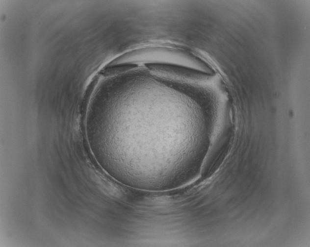 X0000071851260200606301328