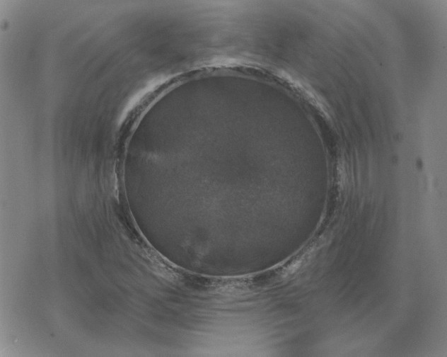 X0000071851262200606301328