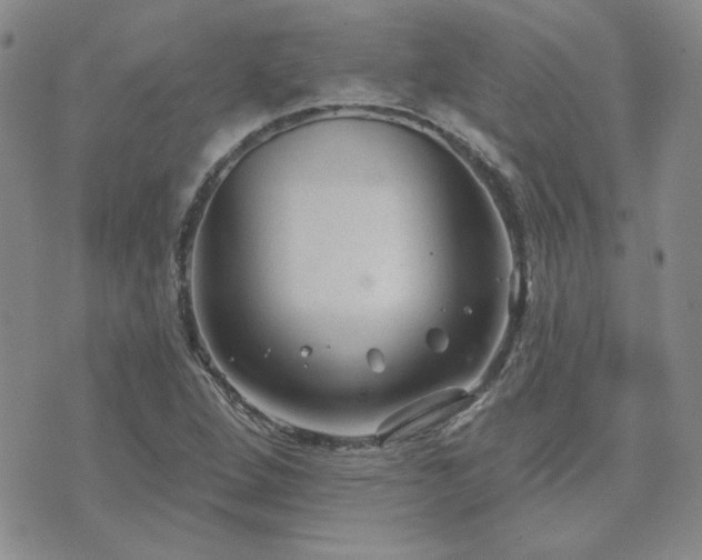 X0000071851264200606301328