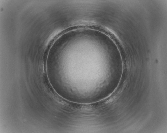 X0000071851267200606301328