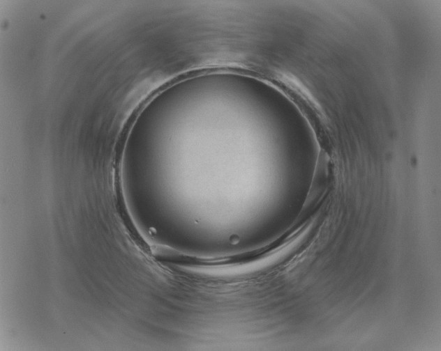 X0000071851268200606301328