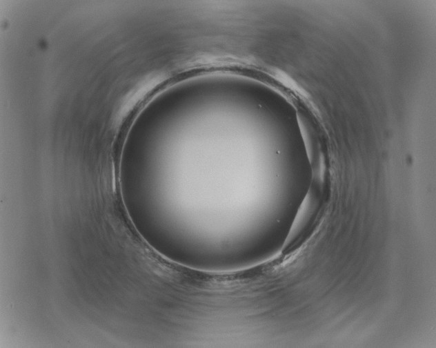 X0000071851269200606301328