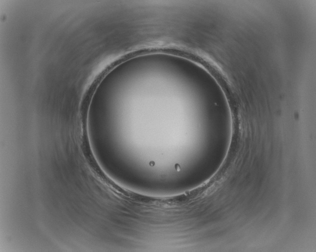 X0000071851270200606301328