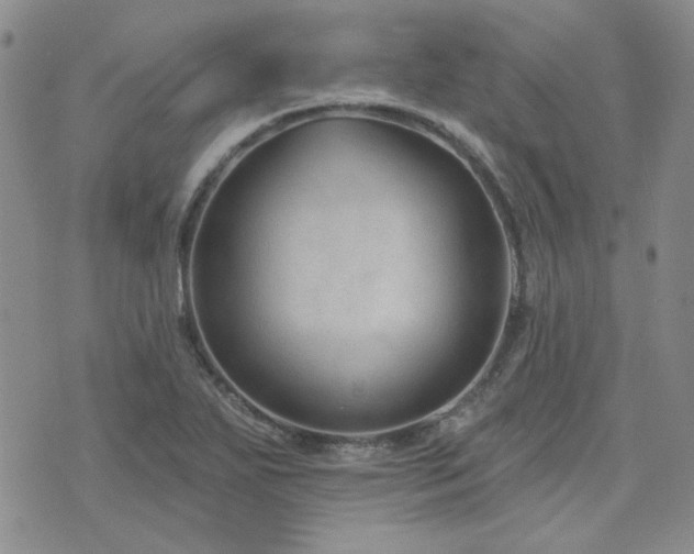 X0000071851271200606301328