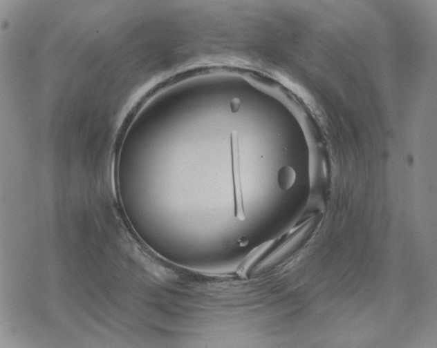 X0000071851272200606301328