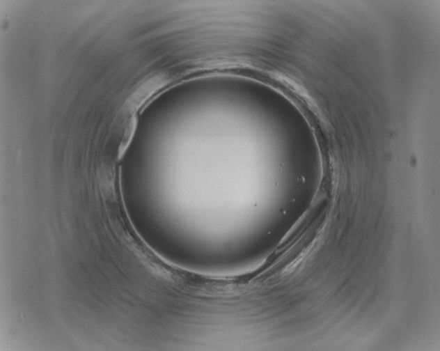 X0000071851273200606301328