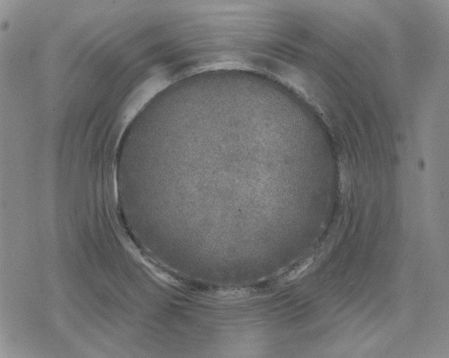 X0000071851274200606301328