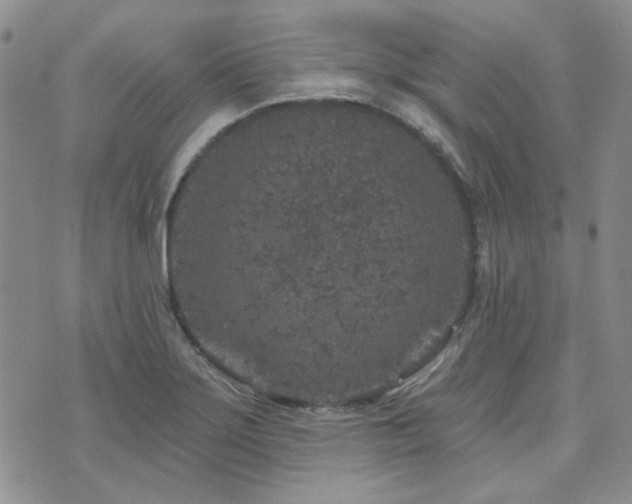 X0000071851275200606301328