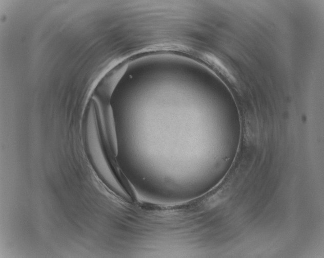 X0000071851276200606301328