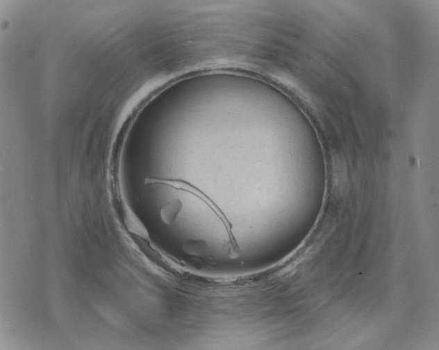 X0000071851278200606301328