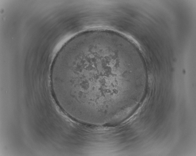 X0000071851279200606301328