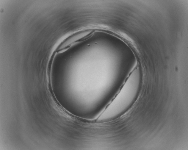 X0000071851280200606301328