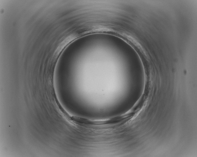 X0000071851281200606301328