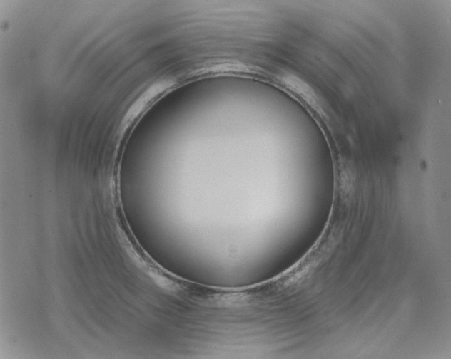 X0000071851282200606301328