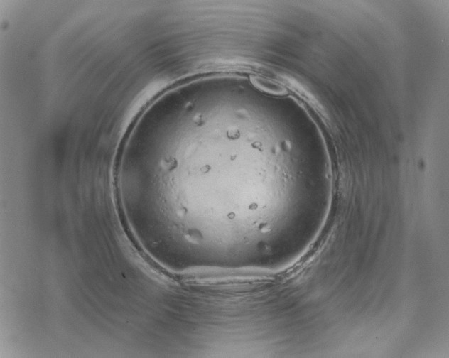 X0000071851283200606301328