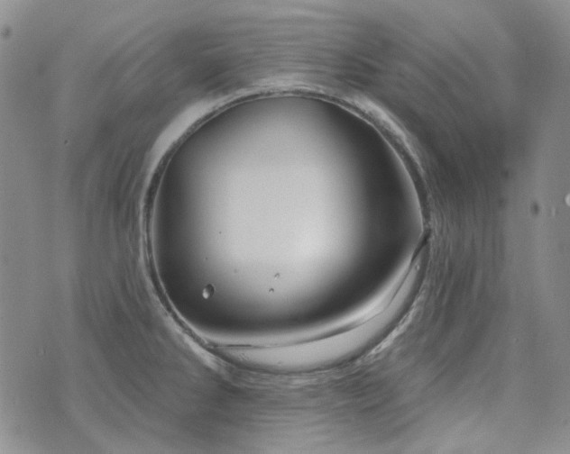 X0000071851286200606301328