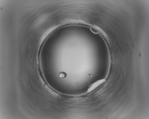 X0000071851287200606301328