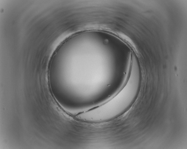 X0000071851288200606301328