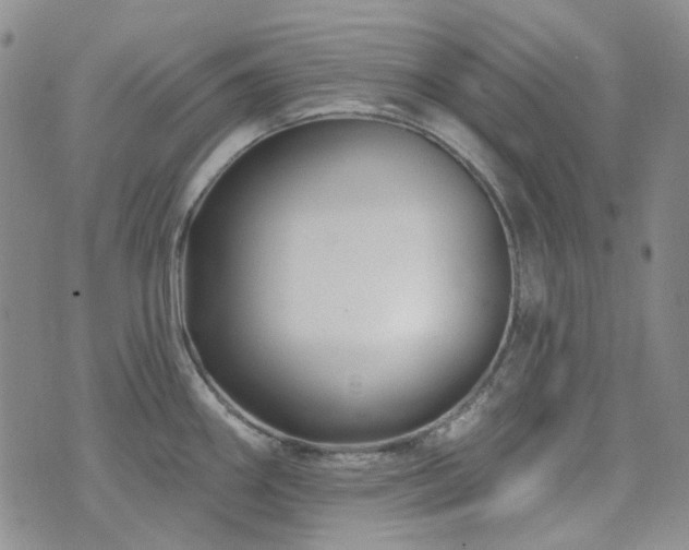 X0000071851290200606301328