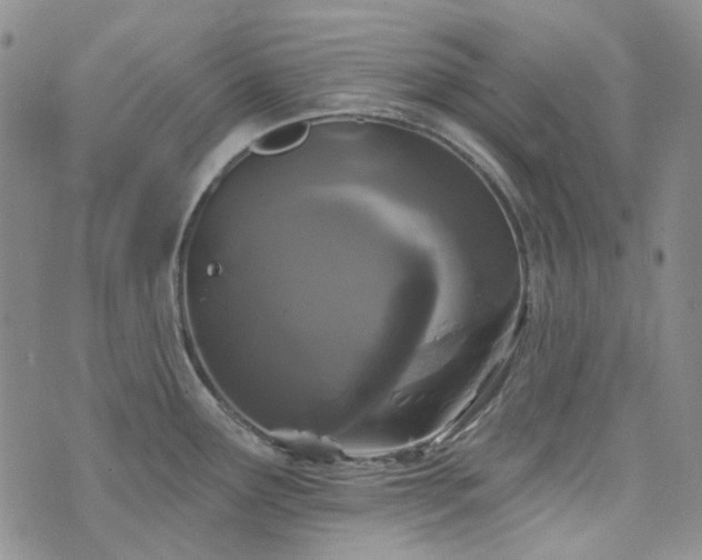 X0000071851291200606301328