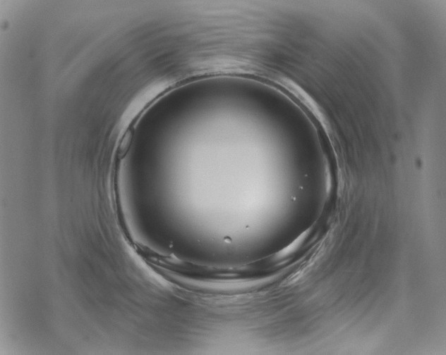 X0000071851293200606301328