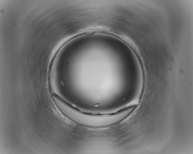 X0000071851296200606301328