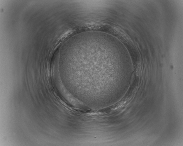 X0000071851298200606301327