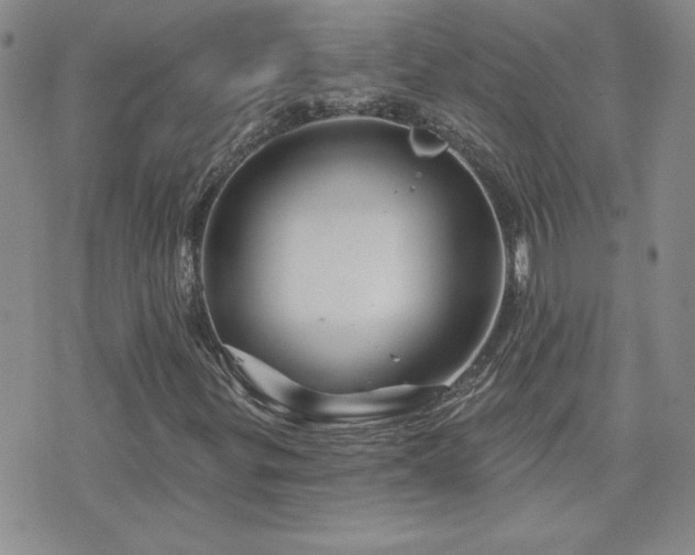 X0000071851299200606301327